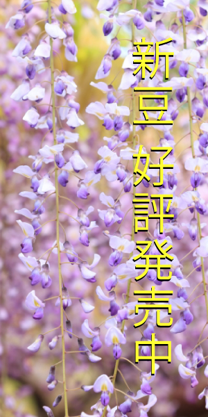 好評新豆発売中