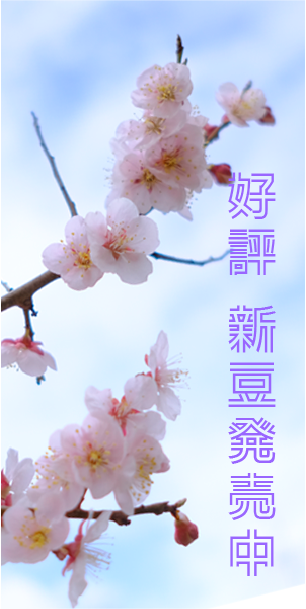 好評新豆発売中